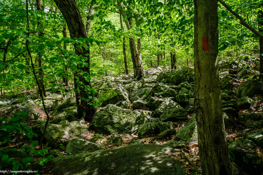 river of rocks going to south overlook